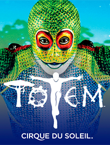 Шоу Totem(Тотем)
