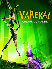 Шоу Varekai(Варекай)